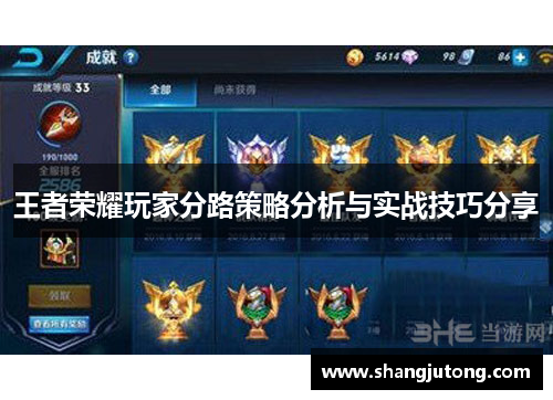 王者荣耀玩家分路策略分析与实战技巧分享